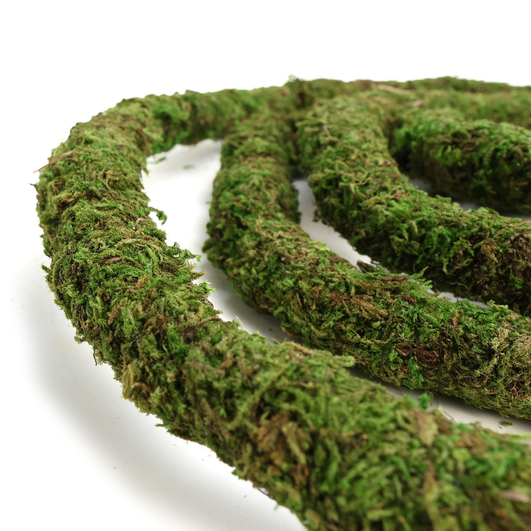 USMOLA Moss Vine for Reptiles, Bendable Climbing Vines Reptile Tank Accessories, Natural Moss Rope for Leopard Gecko, Lizard, Snake, Chameleon, Frog Terrarium Decor (Jungle Green, 6.5 FT)