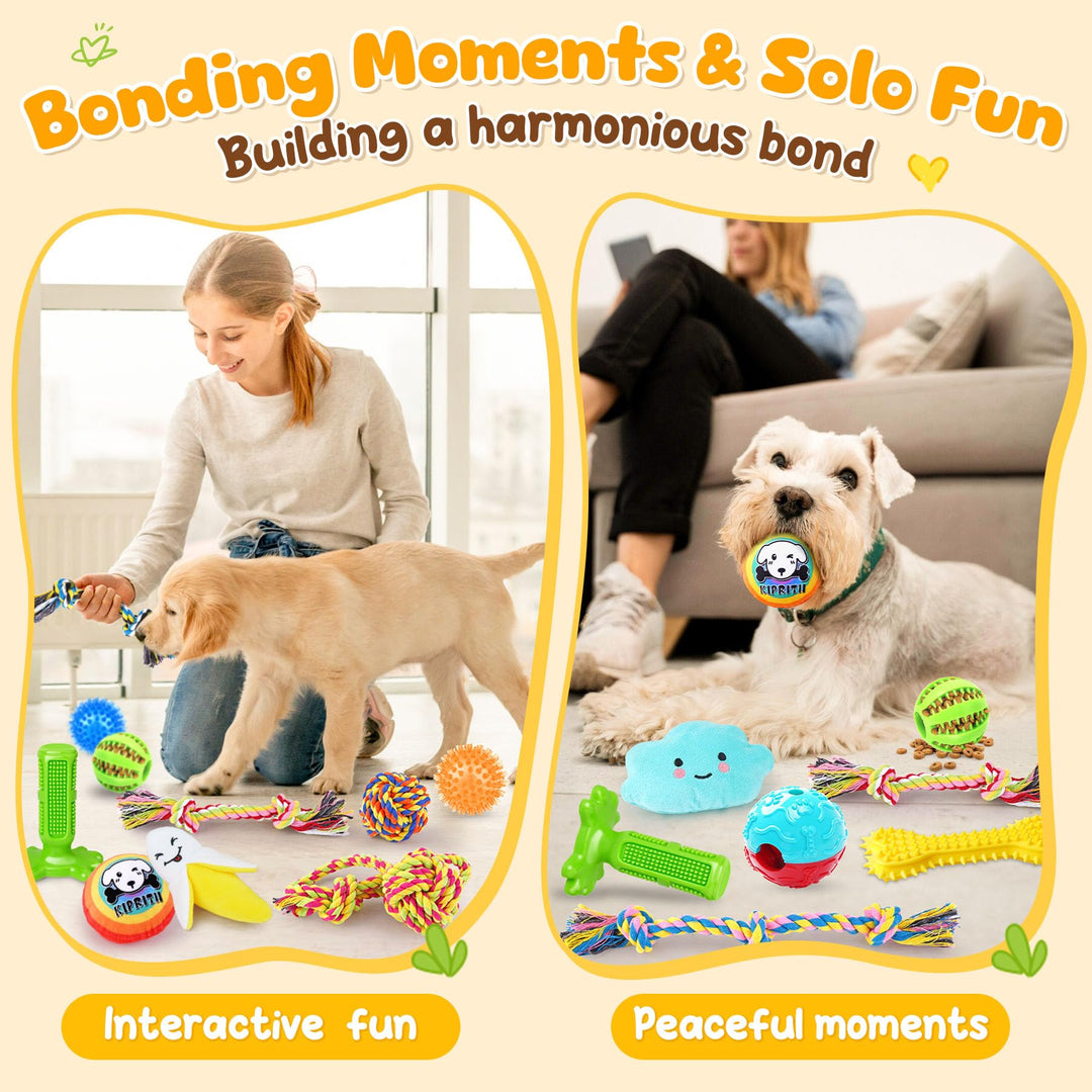 KIPRITII 25 Pack Various Dog/Puppy Toys Set for Small &amp; Medium Dogs