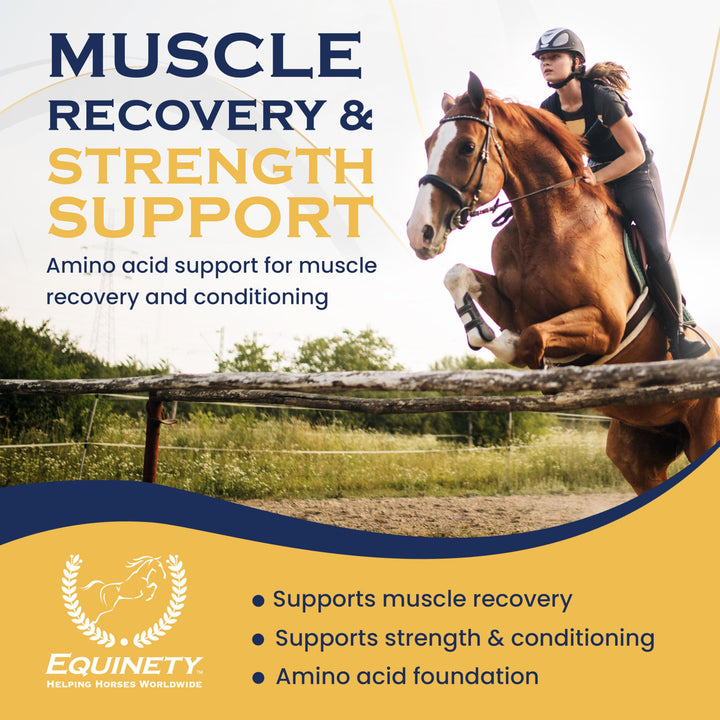 100-Day Supply Equinety Horse XL Powder Horse Supplement with Amino Acids