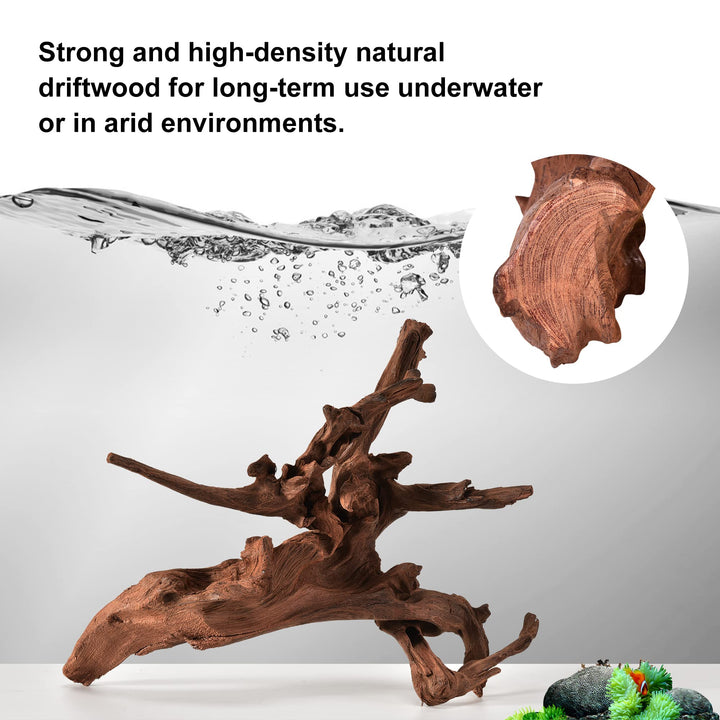 majoywoo Natural Driftwood for Aquarium Decor Fish Tank Decor Reptile Decor