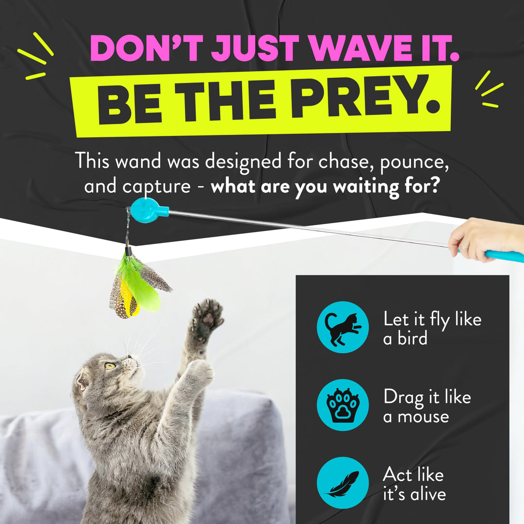 Jackson Galaxy Gotcha! Cat Wand Toy, Interactive Feather Teaser for Cats