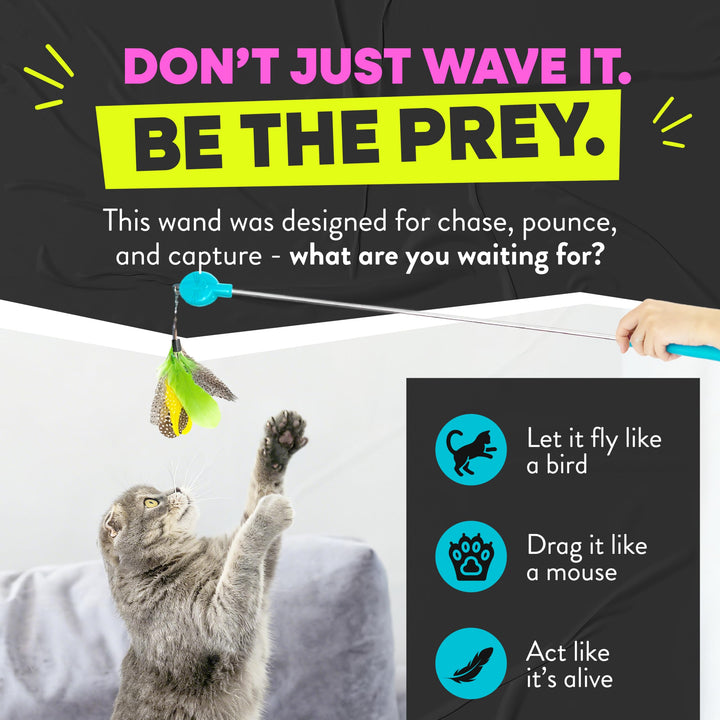 Jackson Galaxy Gotcha! Cat Wand Toy, Interactive Feather Teaser for Cats