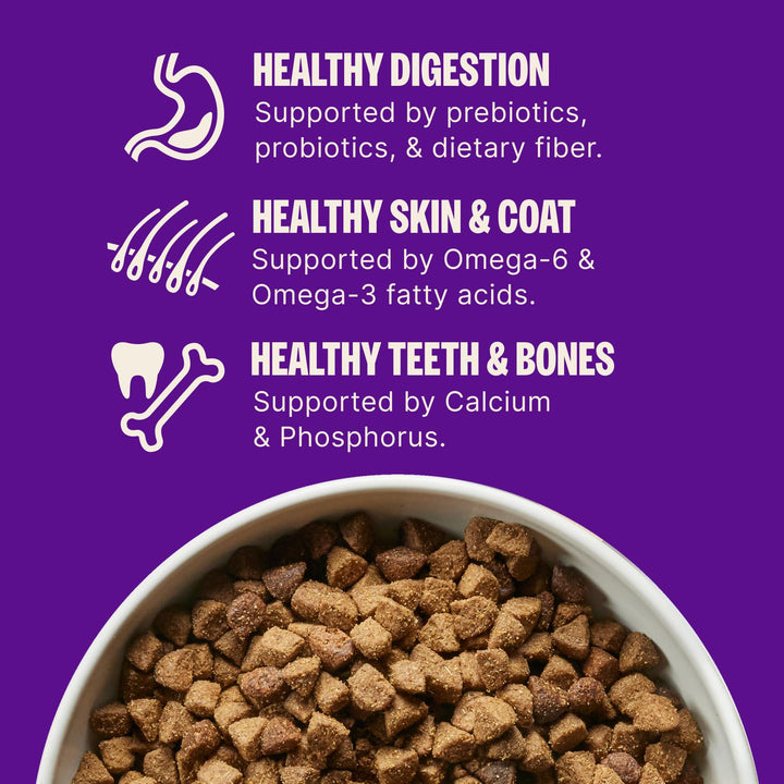 Wellness Complete Health Puppy Dry Dog Food, Wholesome Grain Kibble, Natural, Chicken, Oatmeal, and Salmon Recipe, 15 lb Bag