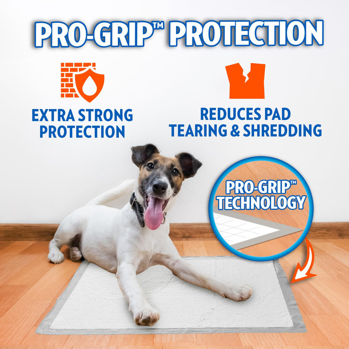 OUT! PetCare XXL Puppy Pads, Heavy Duty Pee Pads for Dogs, 26x30, 30 Count