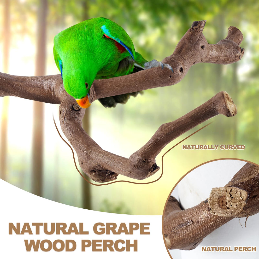 LIMIO 6-Piece Bird Perch Set - Natural Wood Grape Sticks, Paw Grinding Forks, Bird Stand &amp; Toys for Parakeets, Cockatiels, Conure, Budgies