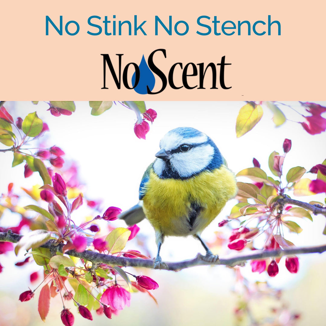 No Scent Bird Cage Cleaner Spray &amp; Pet Odor Management, Natural Aviary Freshener (32 Fl Oz / 946 mL)