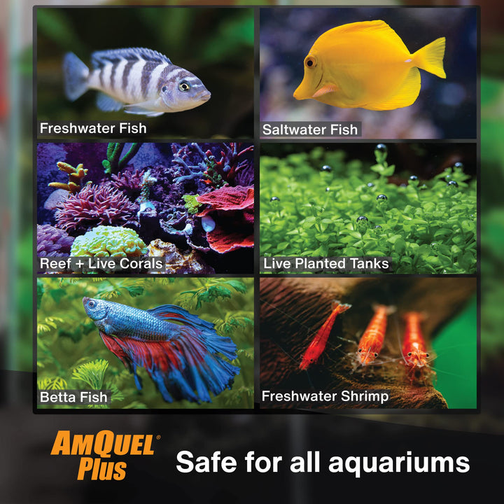 Kordon AmQuel Plus Aquarium Water Conditioner - Instantly Detoxifies Ammonia, Nitrite, Nitrate, and Chlorine Remover for Freshwater &amp; Saltwater Aquariums, 16 Ounces