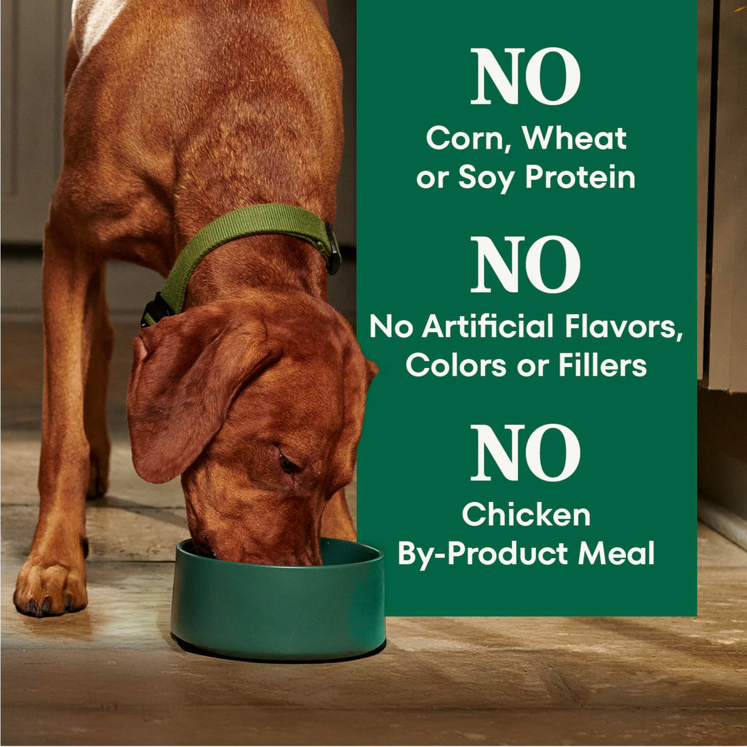Nutro Natural Choice Large Breed Adult Dry Dog Food, Chicken &amp; Rice, 30 lb