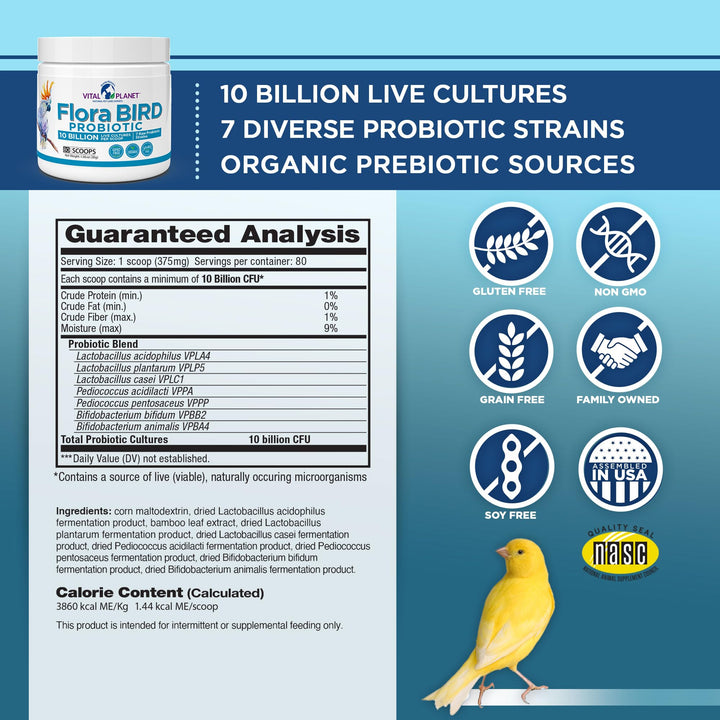 Vital Planet - Flora Bird Probiotic Powder Supplement with 10 Billion Cultures and 7 Diverse Strains, High Potency Probiotics for All Birds for Avian Digestive and Immune Support 80 Scoops 1.06 oz