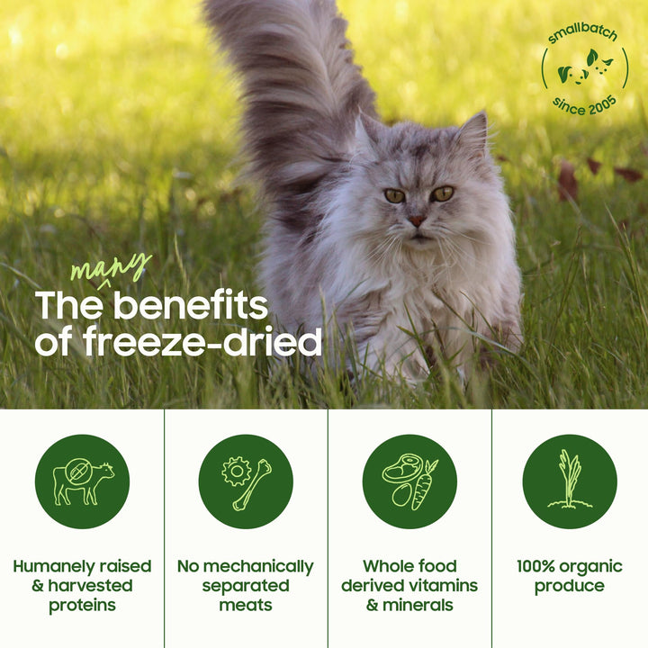 smallbatch Freeze Dried Raw Cat Food, High Protein Chicken Recipe, 10 oz