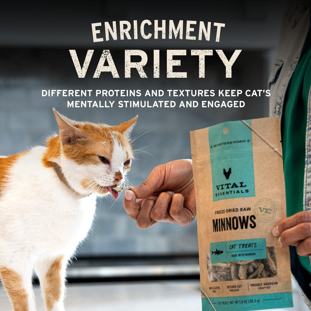 Vital Essentials Freeze Dried Minnows Cat Treats, 0.5 oz Bag