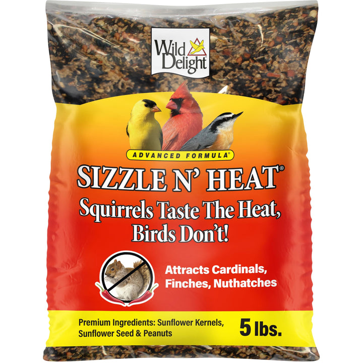Wild Delight Sizzle N&