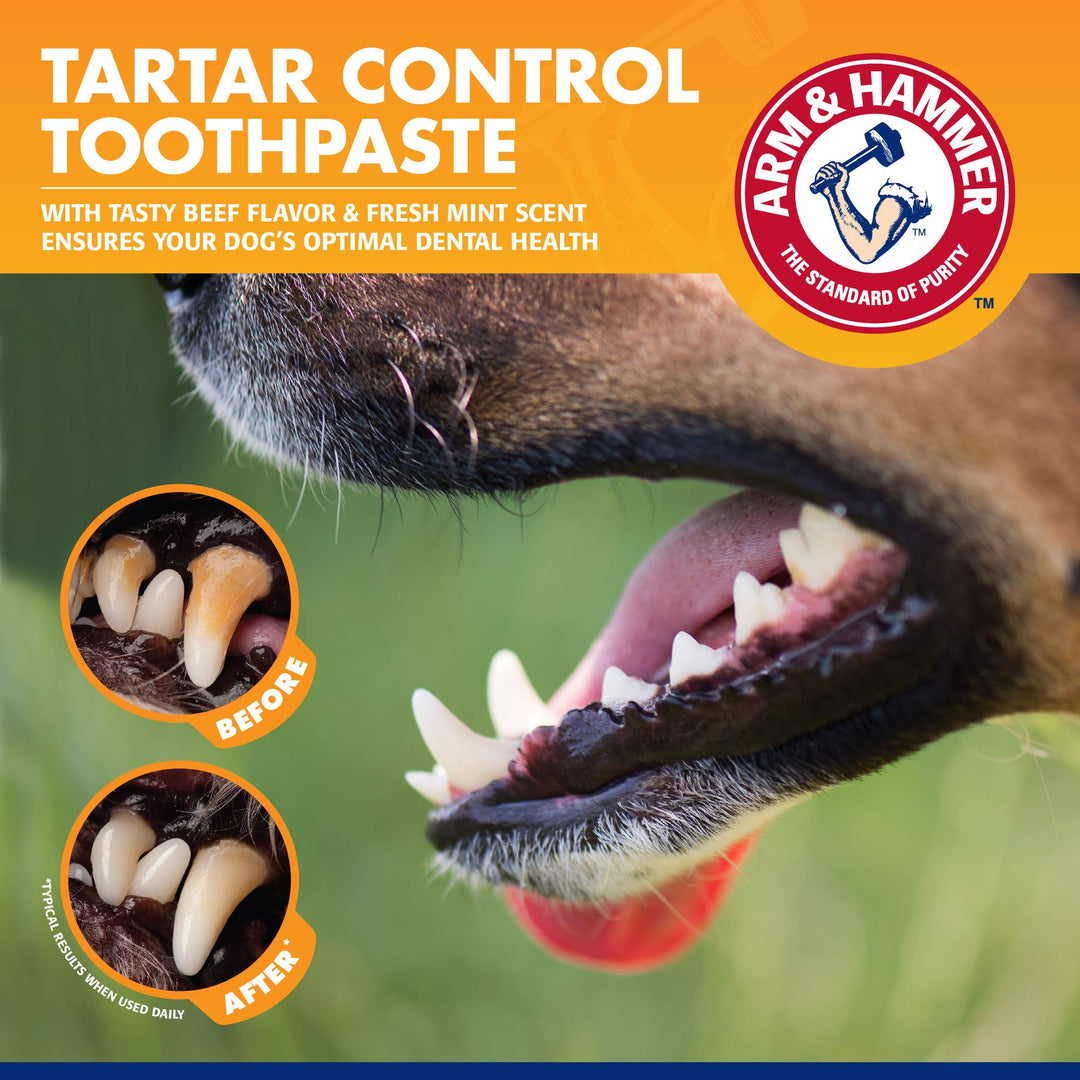 Arm &amp; Hammer Tartar Control Enzymatic Dog Toothpaste, Beef Flavor, 2.5 Oz
