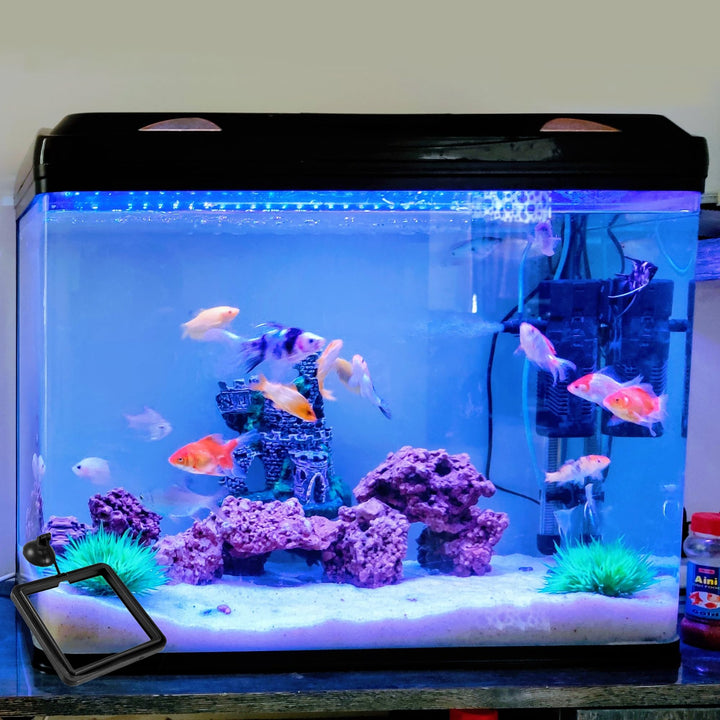 SunGrow Fish Food Feeding Ring, Stop Water Turbulence from Washing Food &amp; Floating Plants into Filter, Suitable for Flakes &amp; Floating Fish Pellets, for Goldfish, Guppy, Neon Tetra, Betta, 1 Piece