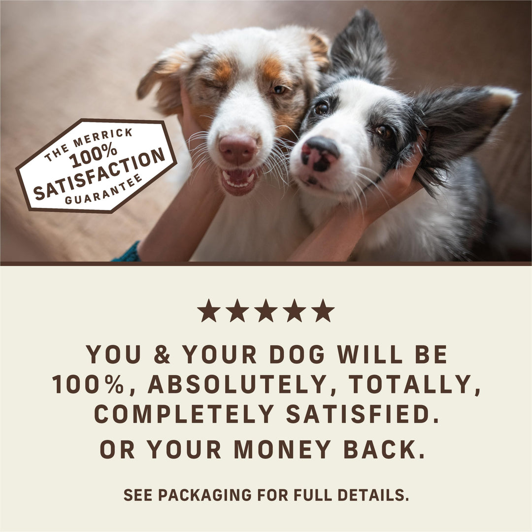 Merrick Power Bites Real Beef Natural Grain Free Dog Treats 6 oz Pouch
