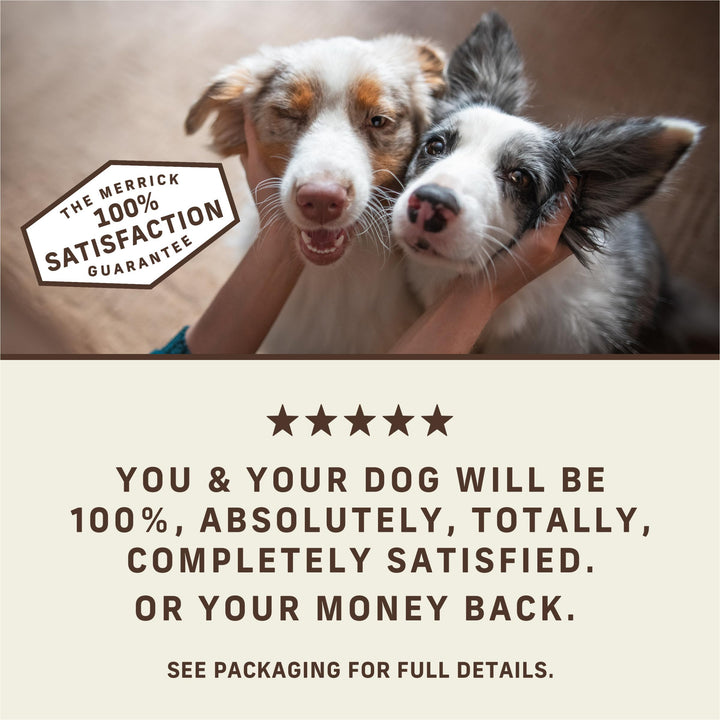 Merrick Power Bites Real Beef Natural Grain Free Dog Treats 6 oz Pouch