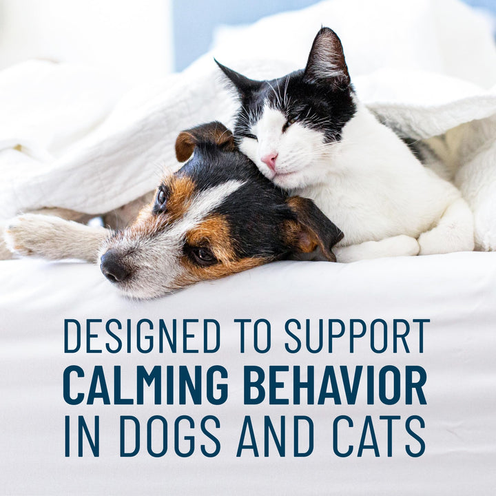 Nutramax Solliquin Calming Behavioral Health Supplement for Small to Medium Dogs and Cats - with L-Theanine, Magnolia/Phellodendron, and Whey Protein Concentrate, 75 Soft Chews