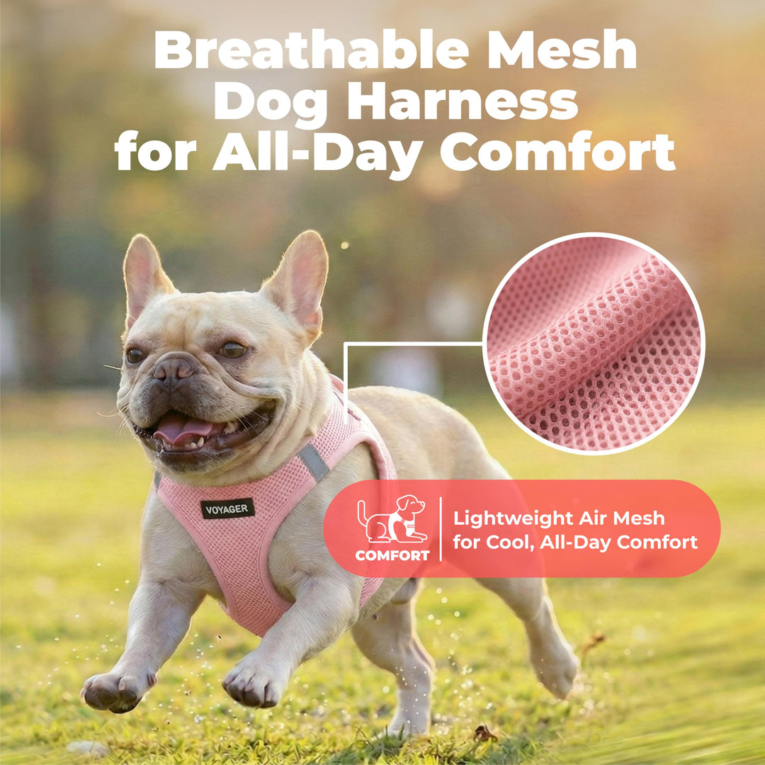 Voyager Step-in Air Dog Vest Harness - Pink, Small