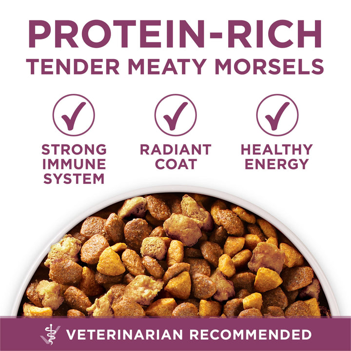 Purina ONE Plus Healthy Puppy Dry Food, Chicken, 31.1 lb Bag