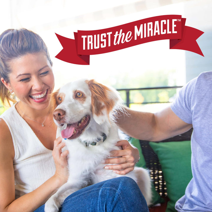 Nature’s Miracle Advanced Dog Stain &amp; Odor Eliminator, Severe Mess, 32 oz