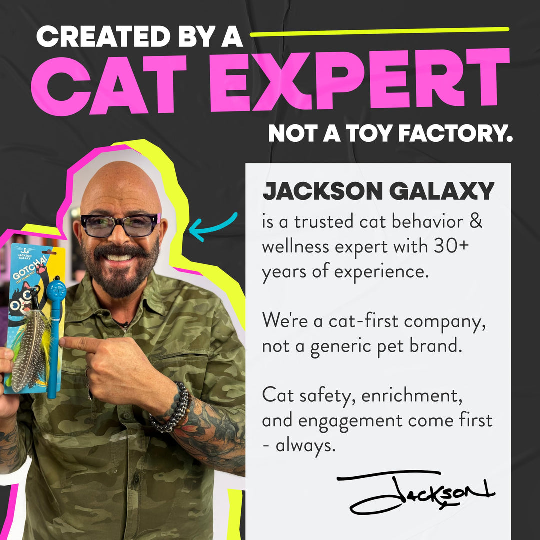 Jackson Galaxy Gotcha! Cat Wand Toy, Interactive Feather Teaser for Cats