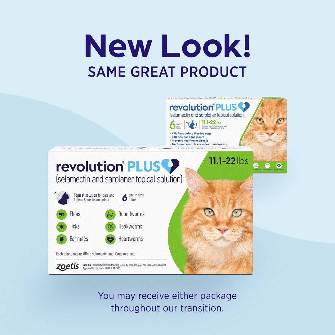 Revolution Plus Topical Solution for Cats, 11.1-22 lbs, 6-Month Supply