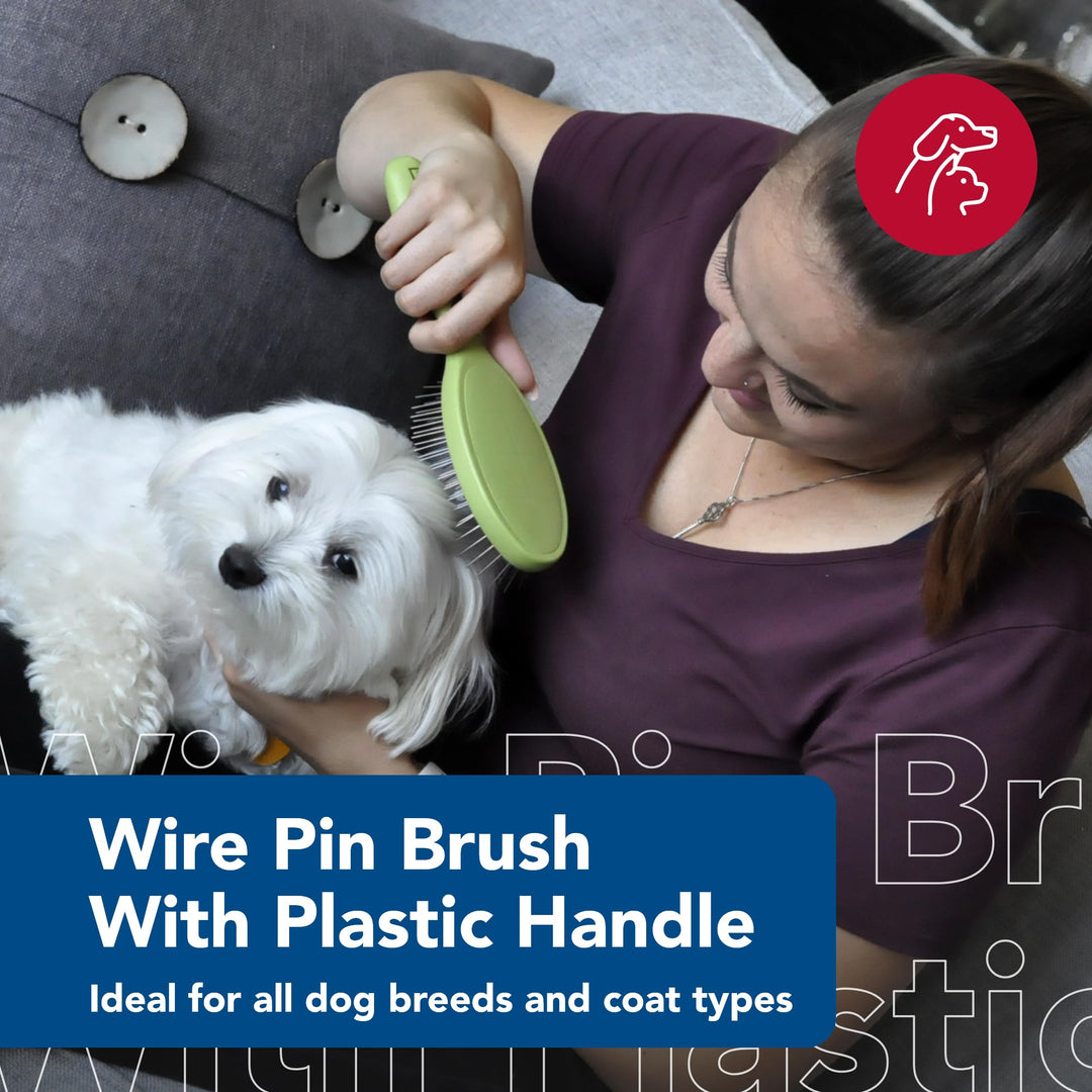 Coastal Pet Safari Wire Pin Brush with Plastic Handle, Large