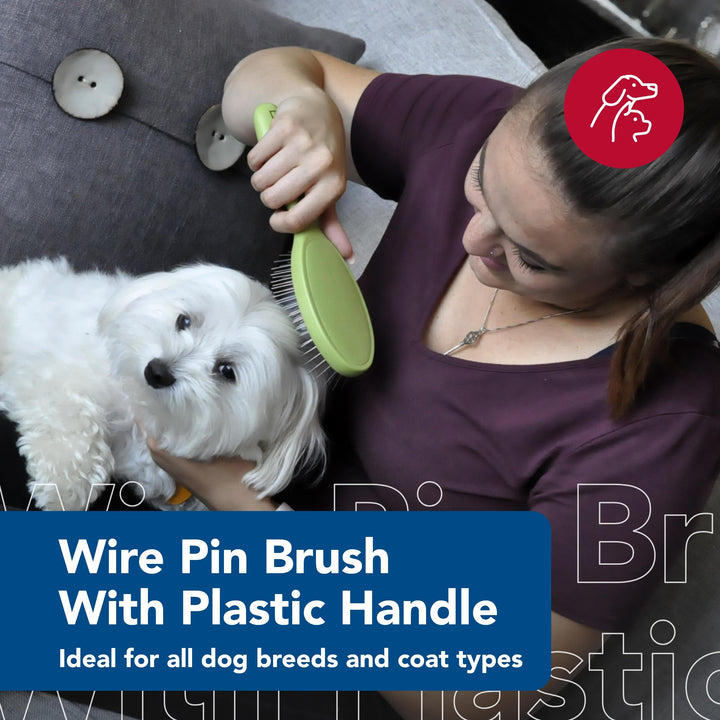 Coastal Pet Safari Wire Pin Brush with Plastic Handle, Large