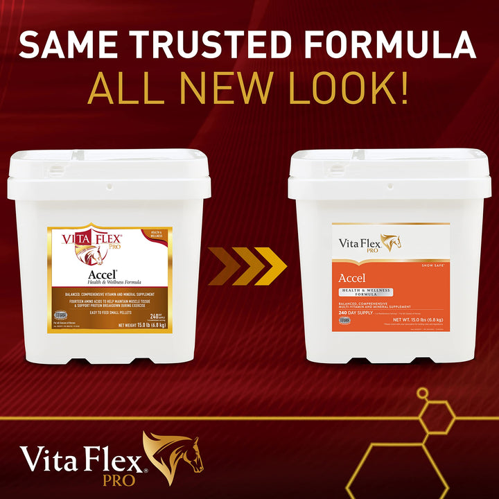 Vita Flex Pro Accel Health &amp; Wellness, Horse Supplement, 240-Day Supply