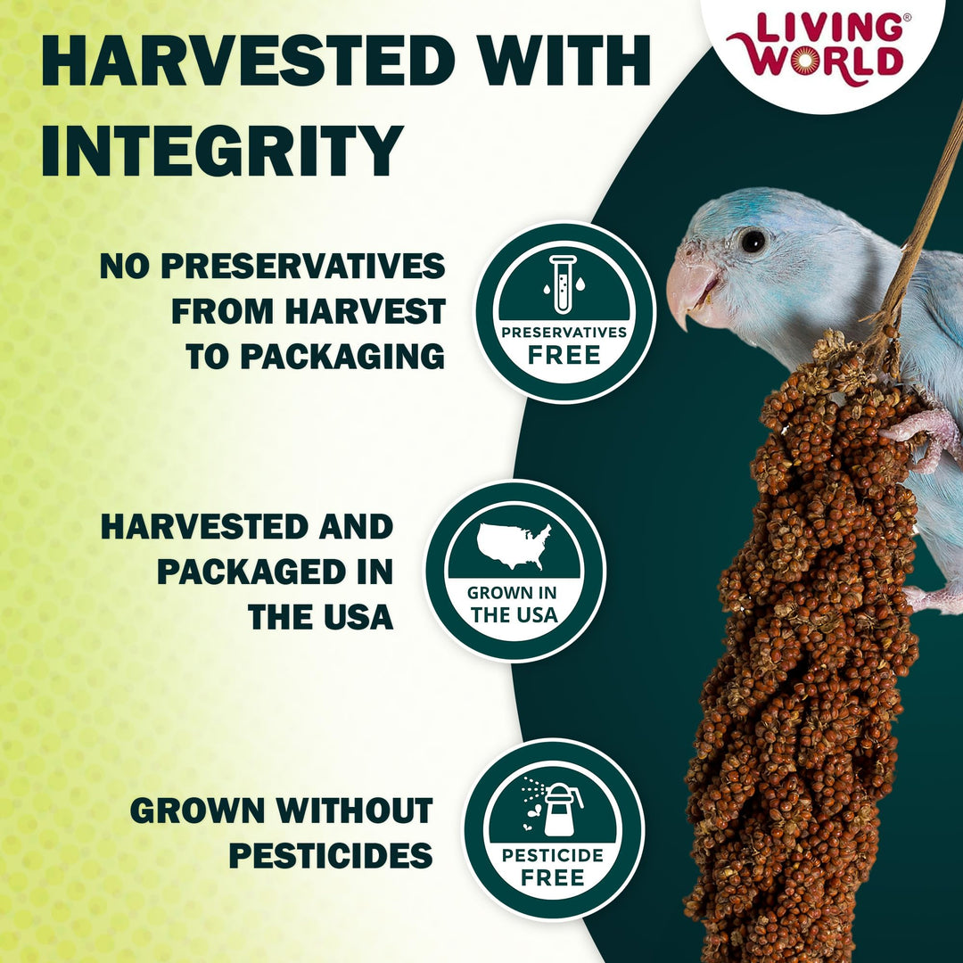 Living World Millet Spray for Birds - 3.5 oz Bag