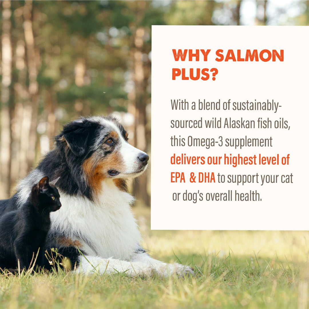 Grizzly Salmon Plus Oil Supplement for Dogs &amp; Cats, Omega 3-6-9, 32 oz