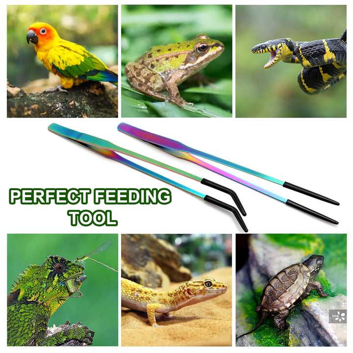 OLIISS Iridescent Reptile Feeding Tongs with Rubber Tips, 10.6", 2 Pack