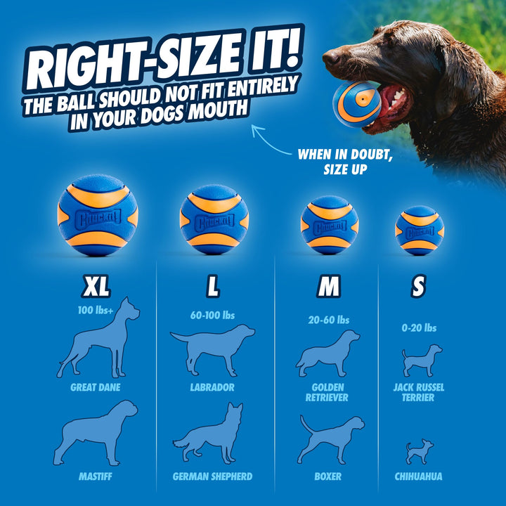 Chuckit! Ultra Squeaker Dog Balls, Floating, Medium 2.5-in, 2-Pack