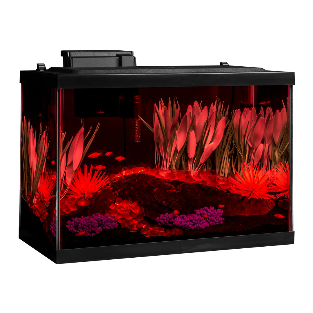 Tetra ColorFusion 20 Gallon Complete Aquarium Kit