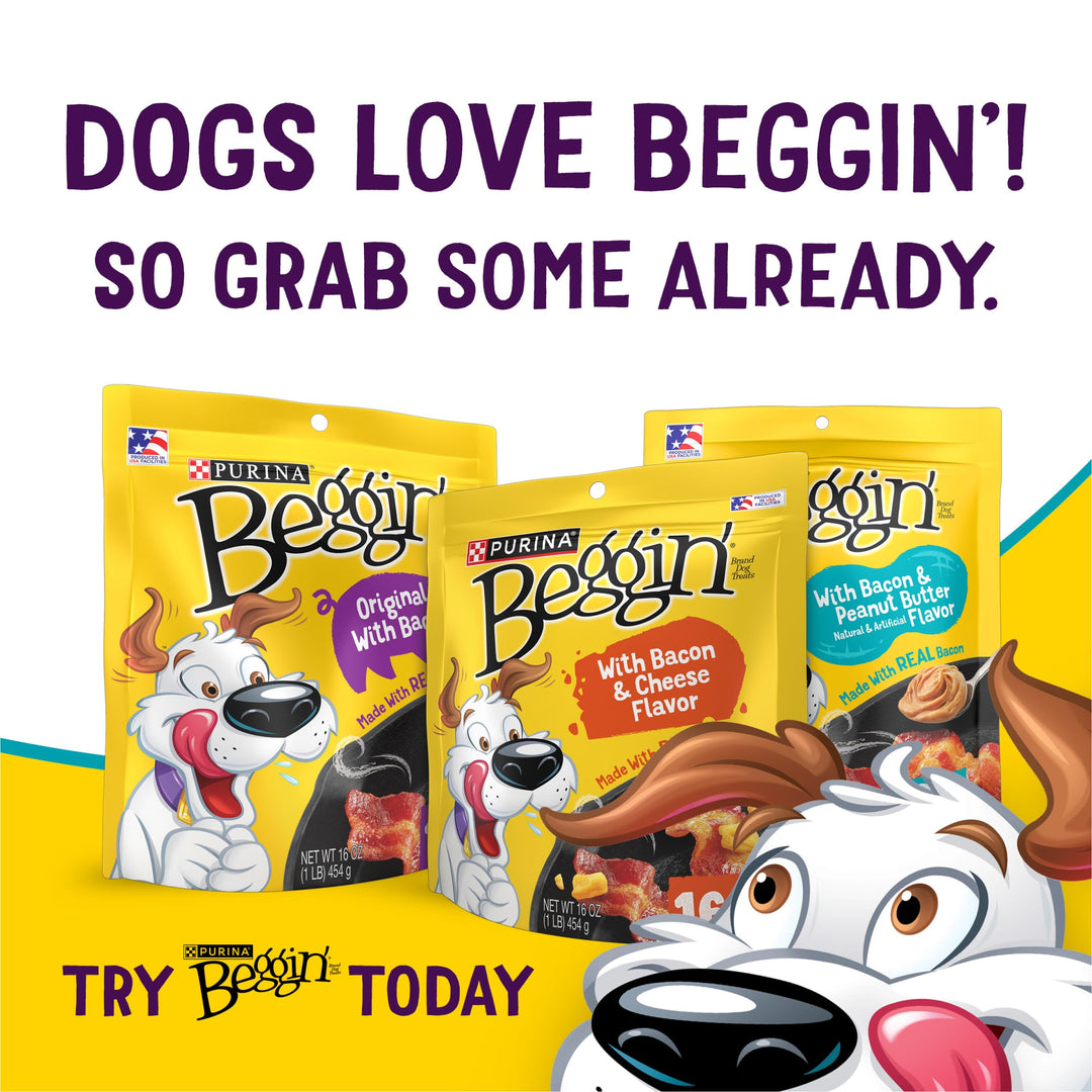 Purina Beggin&