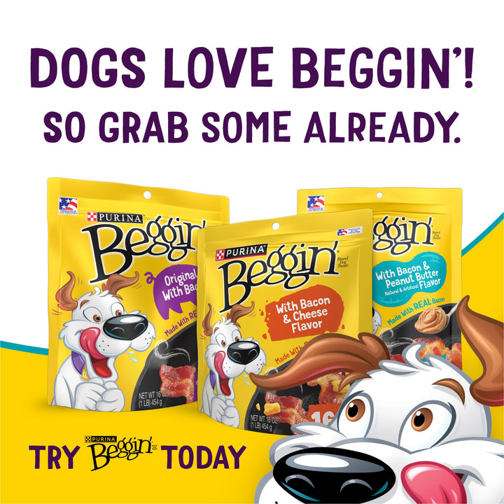 Purina Beggin&