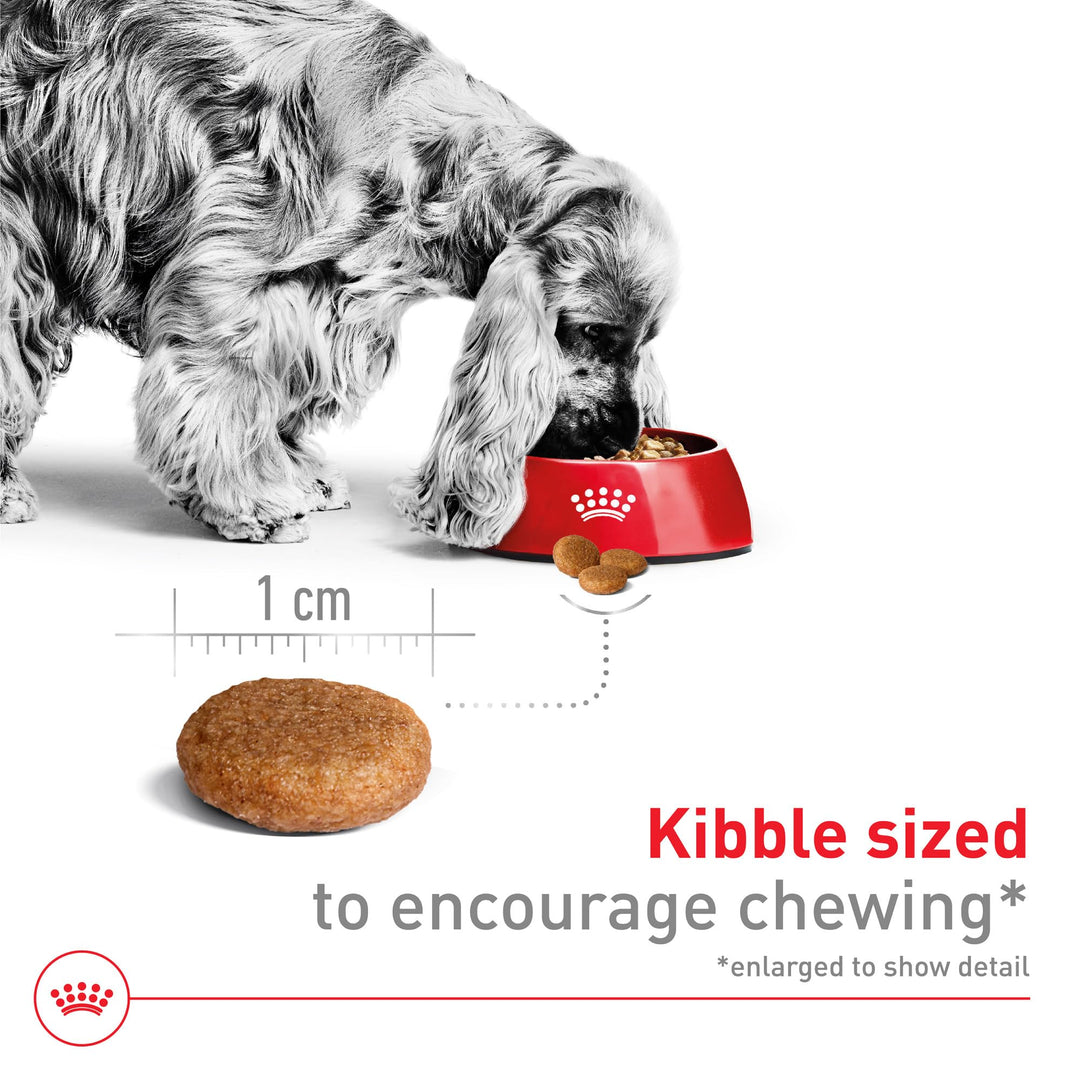 Royal Canin Size Health Nutrition Medium Adult Dry Dog Food, 30 lb Bag