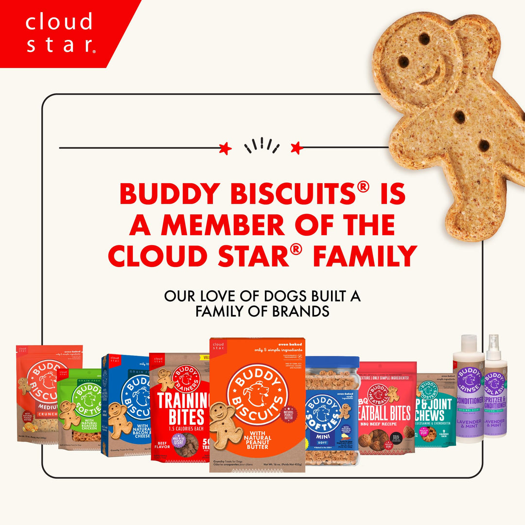 Buddy Biscuits Crunchy Dog Treats, Peanut Butter, 16 oz Box
