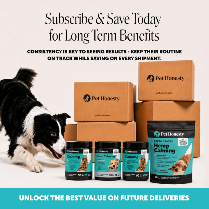 Pet Honesty Vet Recommended Dog Calming Chews with Ashwagandha, 90 Count