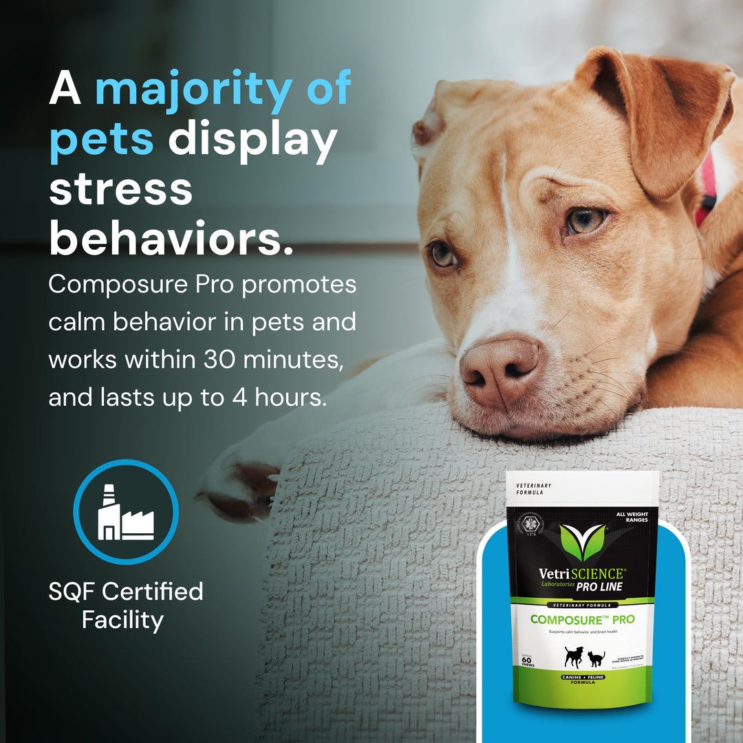 VetriScience Composure Pro + Composure Pro Advanced Bundle - Calming Support Supplement for Cats &amp; Dogs