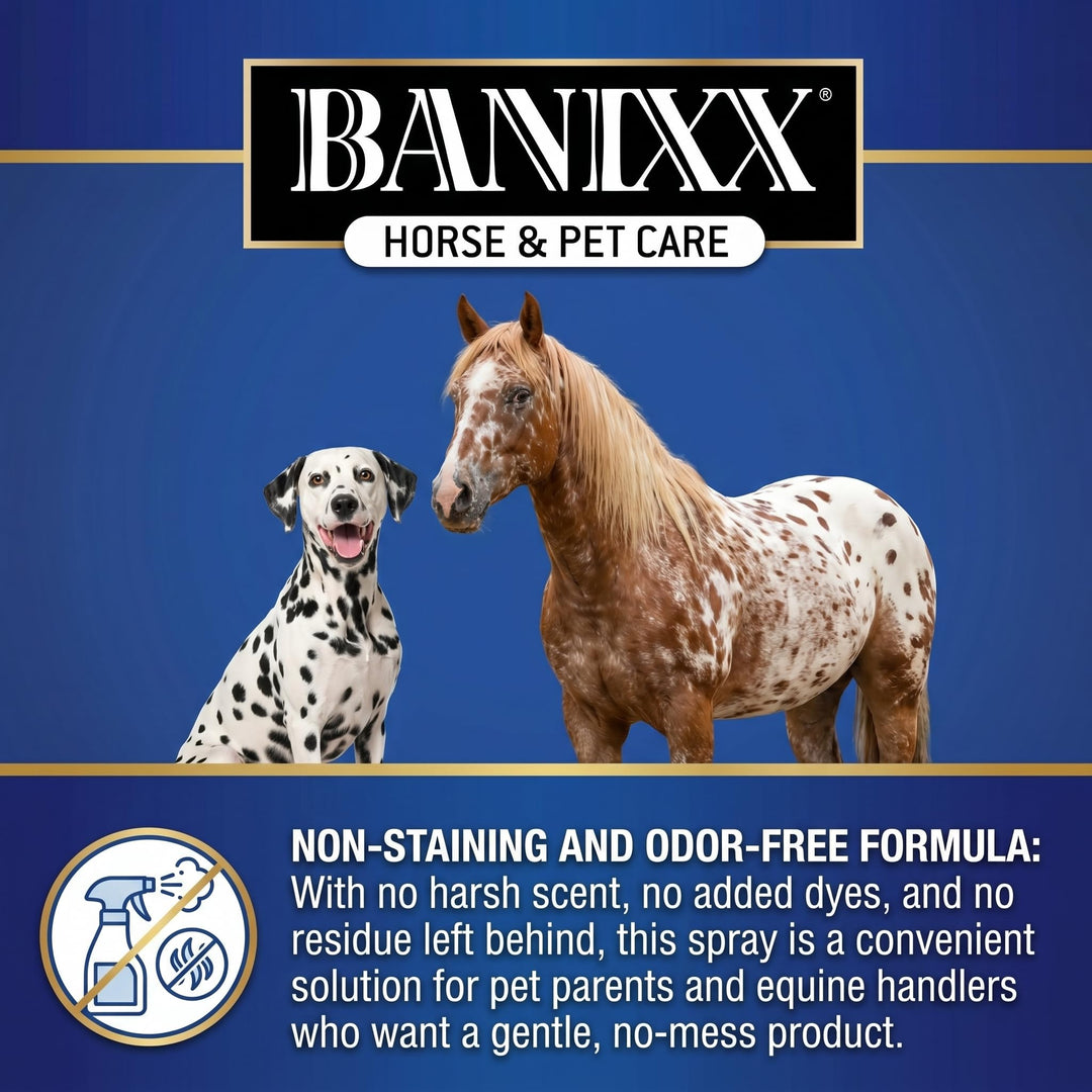 BANIXX Horse and Pet Care Spray for Horses, Dogs and Cats, Daily Skin and Coat Care Spray, Alcohol-Free, Non-Staining, No Odor, Made in USA, Grooming and Hoof Care Formula, 8 oz