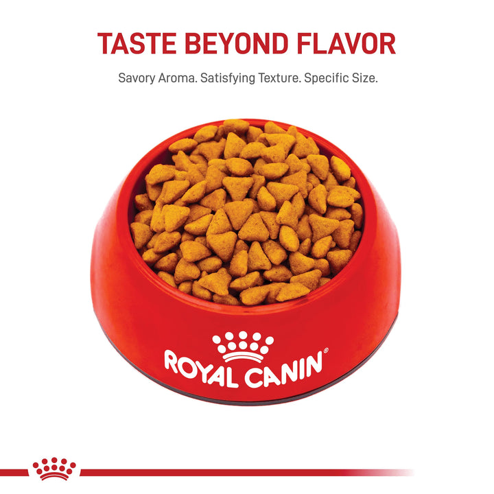 Royal Canin Feline Health Nutrition Indoor Adult Dry Cat Food, 15 lb Bag