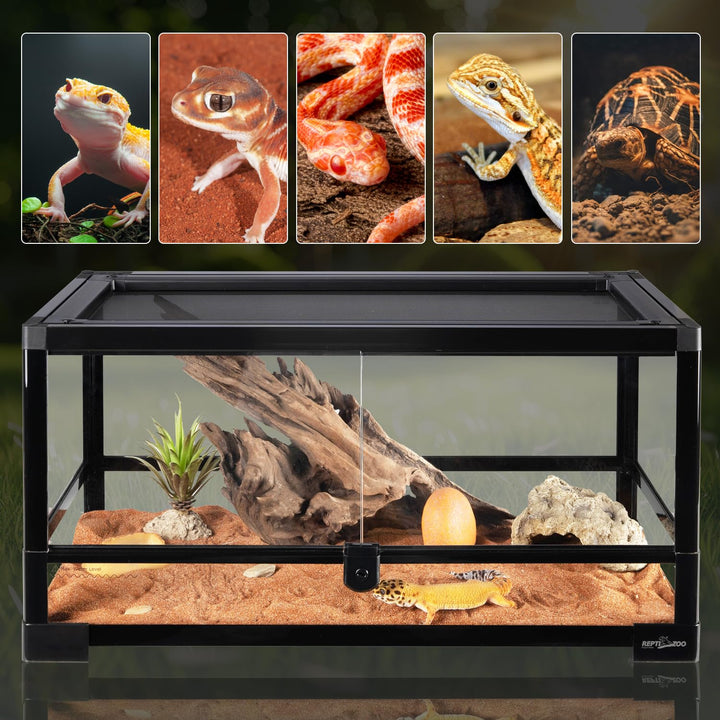 REPTIZOO Reptile Terrarium 24" X 12" X 12", 15 Gallon Glass Reptile Tank with Double Hinge Door Top Screen Ventilation, Easy Assembly Front Opening Terrarium Habitat
