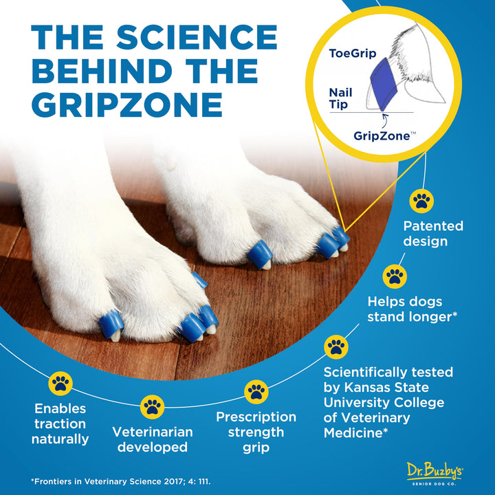 Dr Buzby&