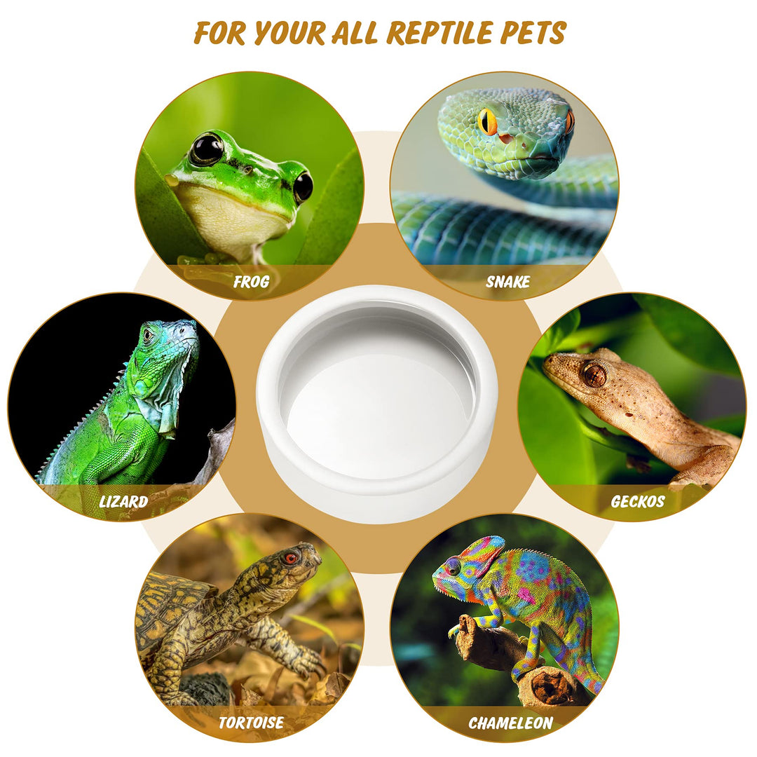 Reptile Food Bowl Lizard Gecko Ceramic Pet Worm Dish Water Bowls XL(5in)