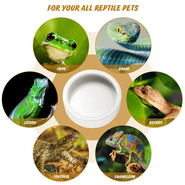 Reptile Food Bowl Lizard Gecko Ceramic Pet Worm Dish Water Bowls XL(5in)