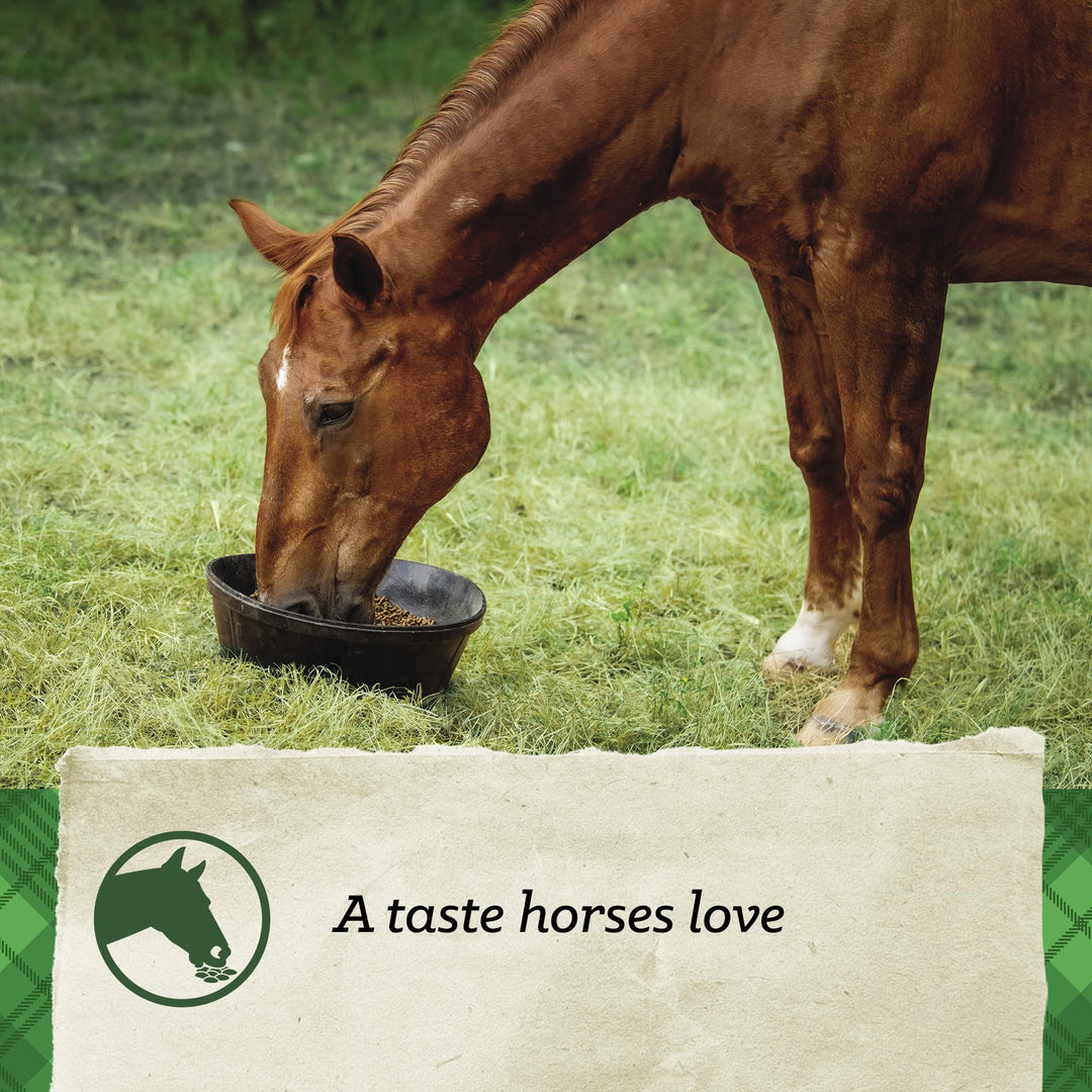 SafeChoice Senior Horse Feed, Molasses Free Multi-Form, 50 lbs