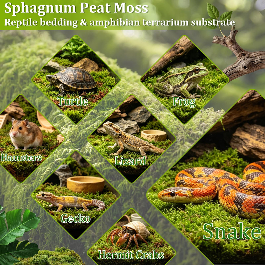 Riare 1.3LB Sphagnum Moss for Reptiles- 30QT Natural Reptile Moss Bedding