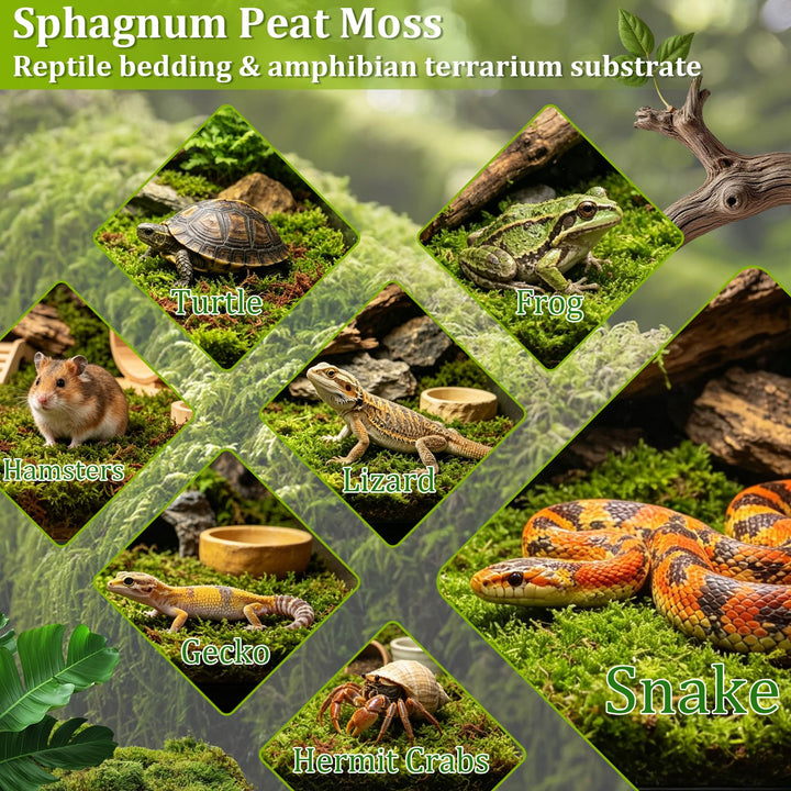 Riare 1.3LB Sphagnum Moss for Reptiles- 30QT Natural Reptile Moss Bedding