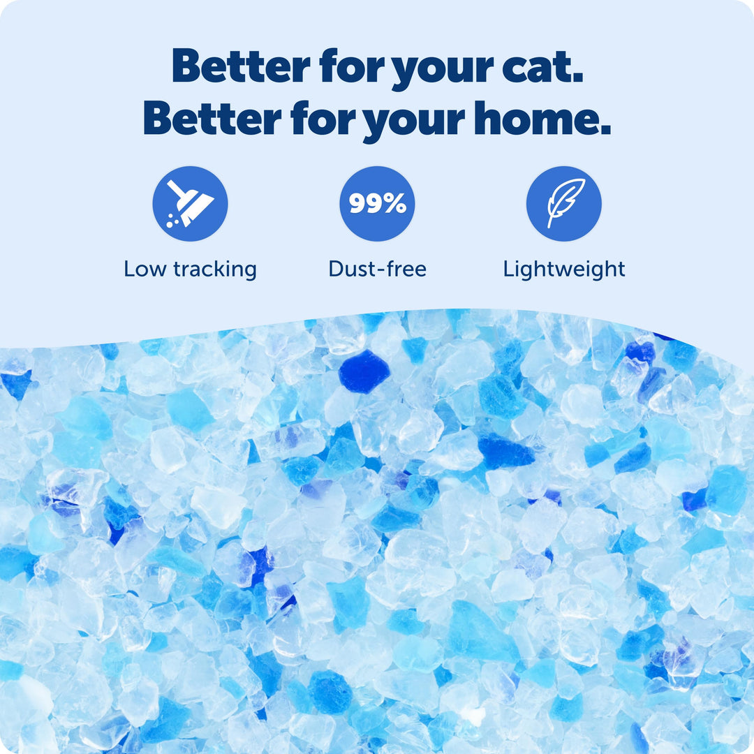 PetSafe ScoopFree Premium Crystal Cat Litter, Fresh Scent, 4.3 lb, 2-Pack